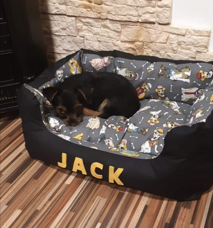 Pat caini sau pisici Doggo [2]
