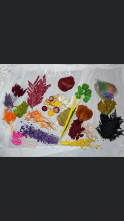 Tablou Lady in Purple EXT-L23 [5]