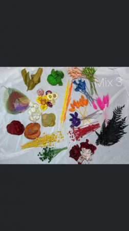 Tablou Lady in Purple EXT-L23 [4]