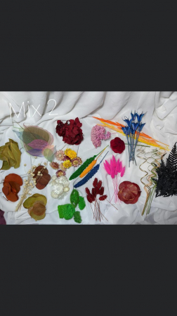 Tablou Lady in Purple EXT-L23 [3]