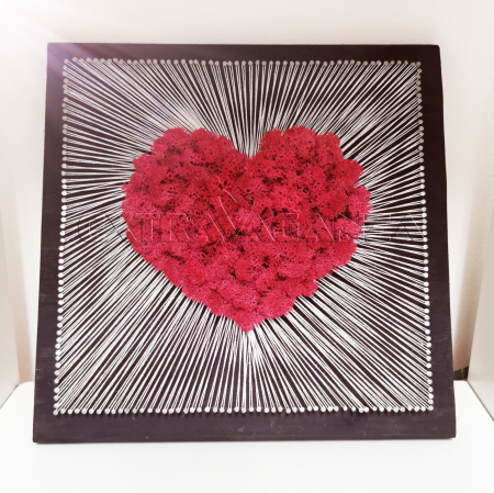 Tablou licheni Heart [1]
