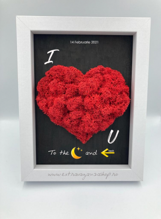 Tablou licheni Led Heart [1]