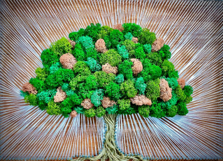 Tablou licheni Oak Tree EXT-L15 [0]