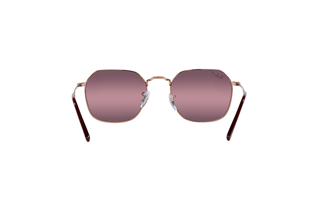 Ray Ban RB3694 JIM 9202/G9 Polarizat Chromance 55-20-145 [4]