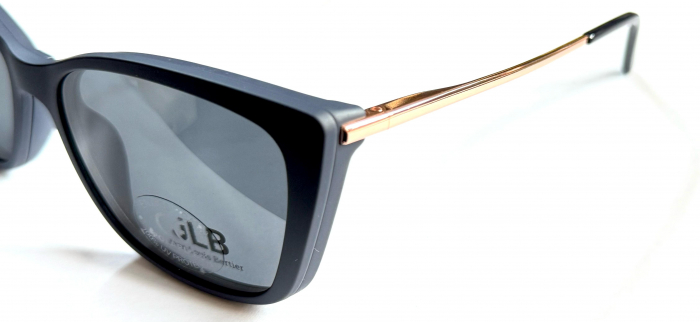 Jean Louis Bertier JLB-1058 C22 [3]