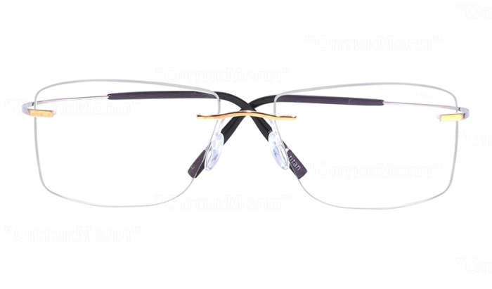 Silhouette 5539 IG 8180 [2]