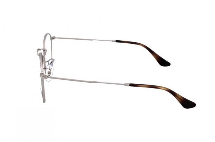 Ray Ban RB3447V 2970 [3]