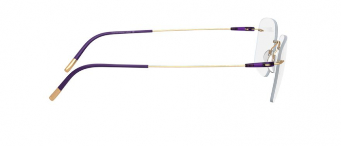 Rame Ochelari Vedere Titan Silhouette 5500 70 7530 Sasiu [2]