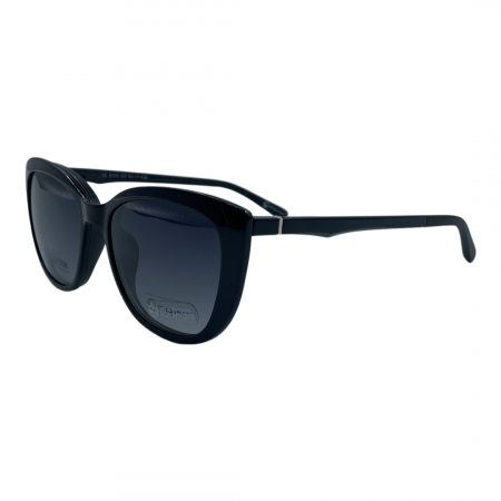 Point 6100 C2 Clip-On Polarizat [1]