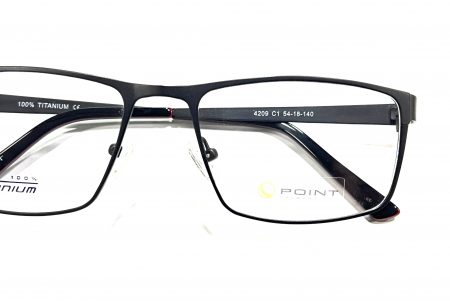 Point 4209 C1 [2]