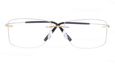 Silhouette 5539 IG 8180 [1]