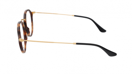 Rame ochelari vedere Ray Ban RB2447v 5494 [3]