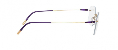 Rame Ochelari Vedere Titan Silhouette 5500 70 7530 Sasiu [1]