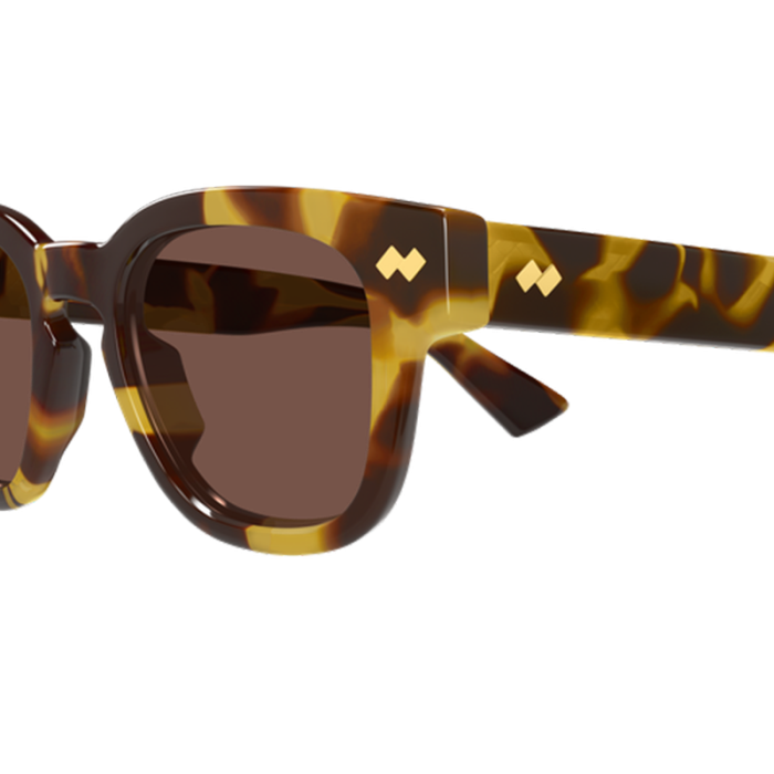 Bottega Veneta BV1441S 002 Havana [3]
