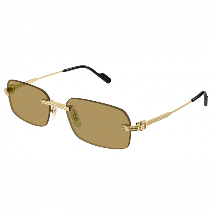 Cartier CT0271S 009 Gold Brown [3]