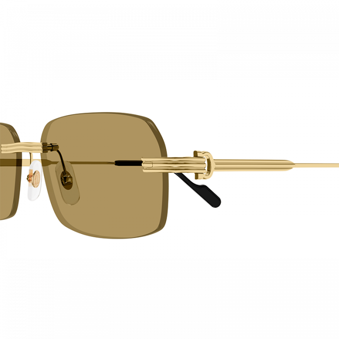 Cartier CT0271S 009 Gold Brown [2]