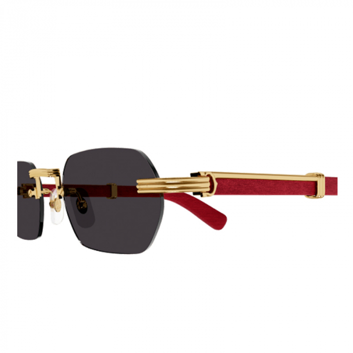 Cartier Premiere CT0362S 004 [3]