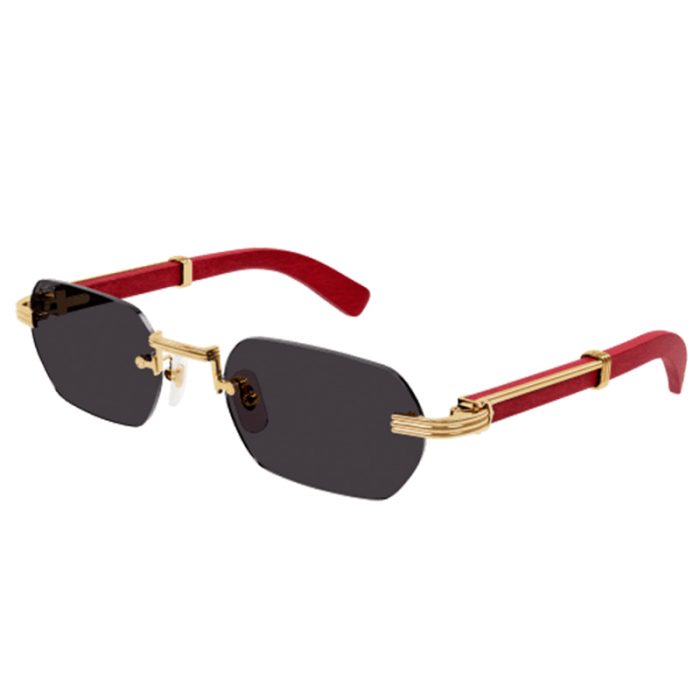 Cartier Premiere CT0362S 004 [2]