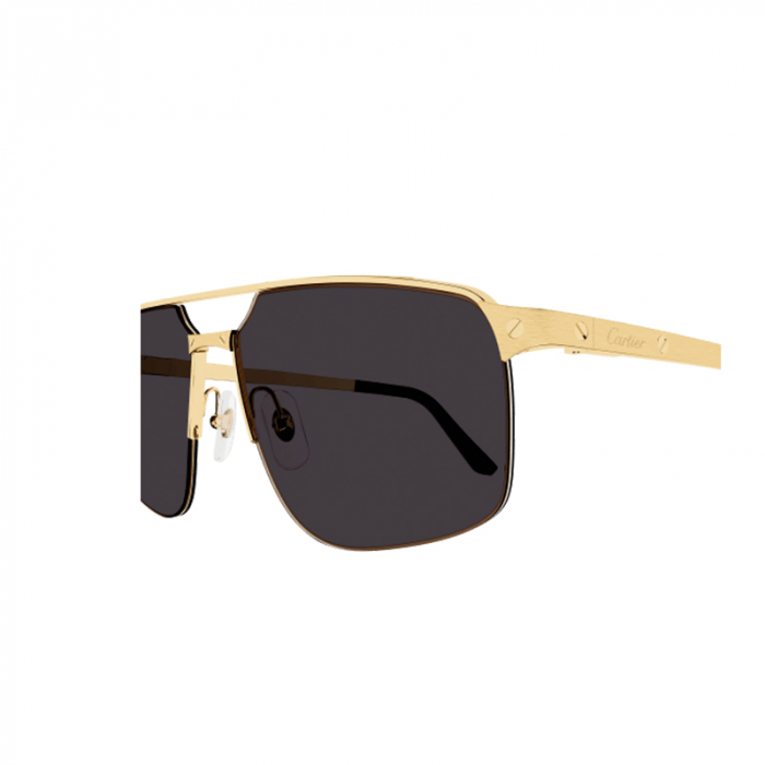 Cartier Santos CT0385S 001 Gold [3]