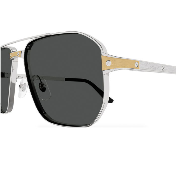 Cartier Santos CT0424S 001 Silver Smoke [3]