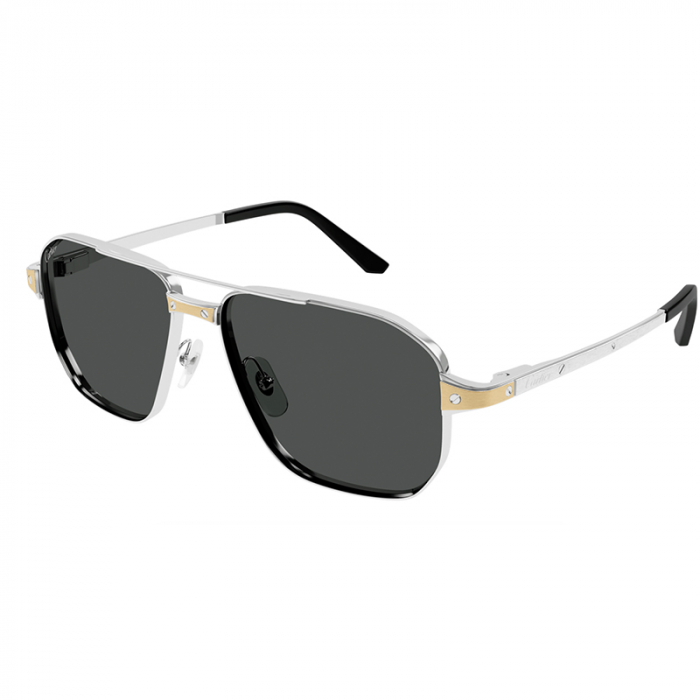 Cartier Santos CT0424S 001 Silver Smoke [2]