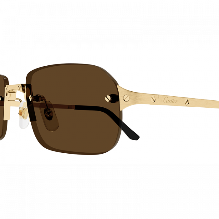 Cartier CT0460S 002 Brown Gold [3]