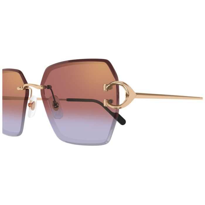 CT0466S 005 Decor C de Cartier Sunglasses [3]
