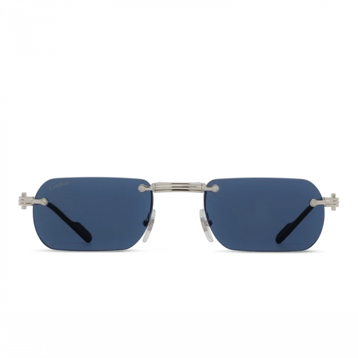 Cartier CT0499S 002 Platinum Blue [1]