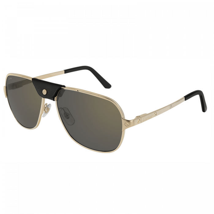 Cartier Santos CT0165S Gold Grey [2]
