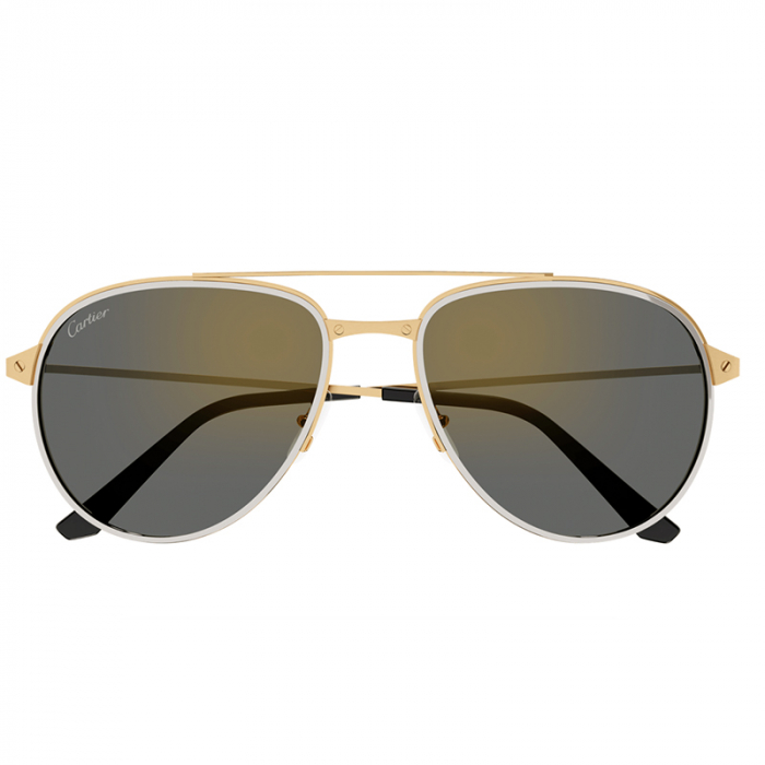 Cartier Santos CT0325S Light Gold [1]