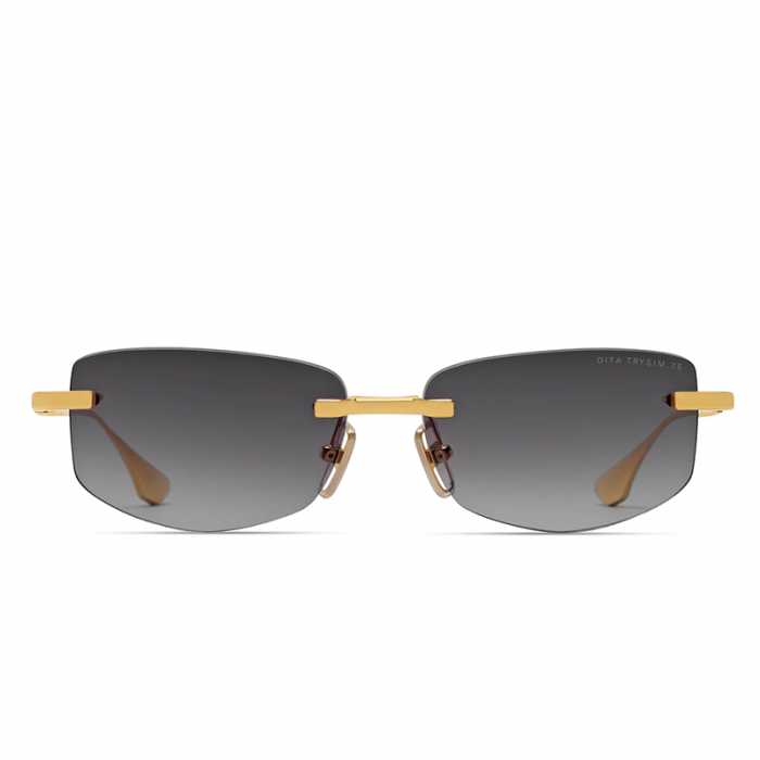 Dita Trysim.75 DTS182 Gold Grey SUN [2]