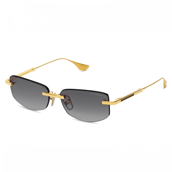 Dita Trysim.75 DTS182 Gold Grey SUN [4]
