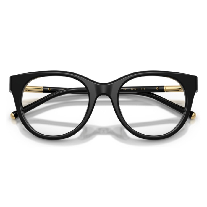 Dolce Gabbana DG3433 501 Black [4]