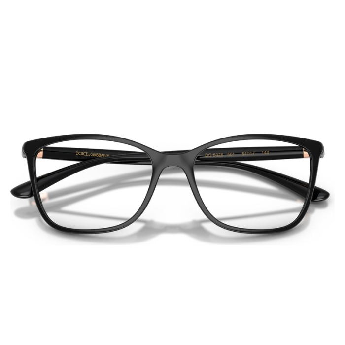 Dolce Gabbana DG5026 501 Black [5]