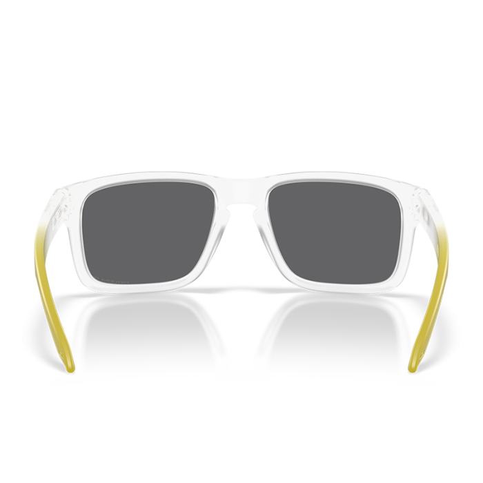 Oakley Holbrook OO9102 9102AP Prizm Black Polarized [5]