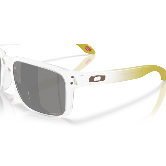 Oakley Holbrook OO9102 9102AP Prizm Black Polarized [4]