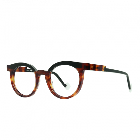 Anne et Valentin Level 21A06 Tortoise [1]