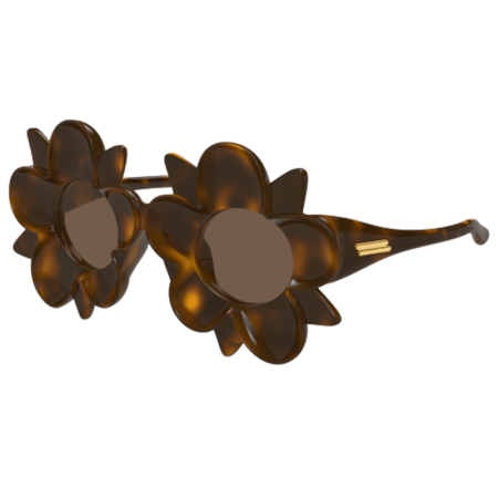 Bottega Veneta BV1399S 008 Brown [1]