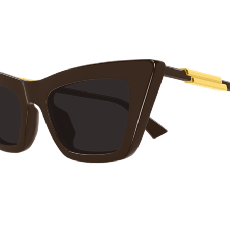 Bottega Veneta BV1446S 003 Brown [2]