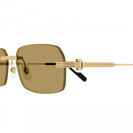 Cartier CT0271S 009 Gold Brown [1]