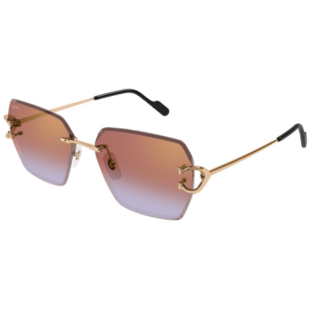 CT0466S 005 Decor C de Cartier Sunglasses [1]