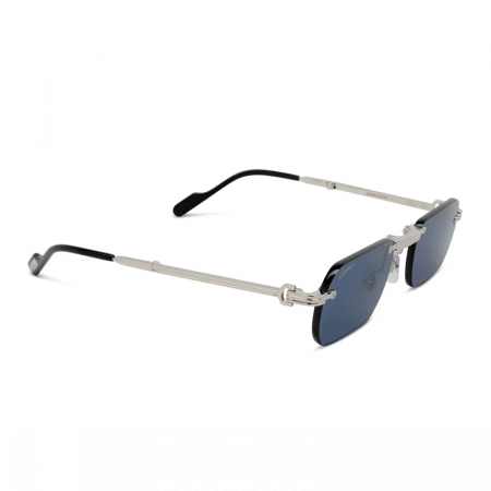 Cartier CT0499S 002 Platinum Blue [1]