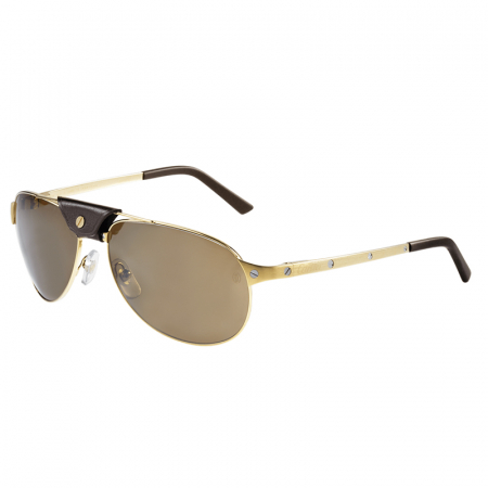Bărbați - Cartier Santos CT0074S Gold Brown