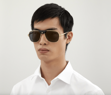 Branduri - Cartier Santos CT0165S Gold Grey