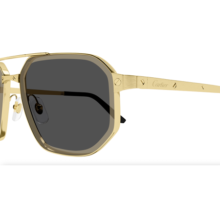 Cartier Santos CT0462S 005 Gold Grey XL [2]