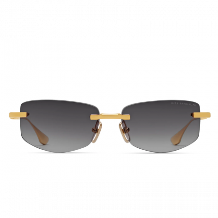 Dita Trysim.75 DTS182 Gold Grey SUN [1]