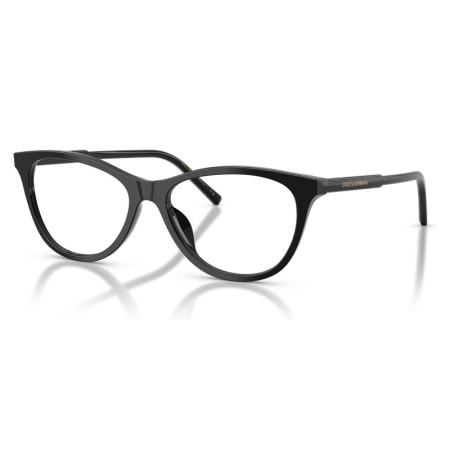 Dolce Gabbana DG3443 501 Black [2]