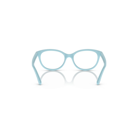Dolce Gabbana DX5096 3134 Baby Blue [4]