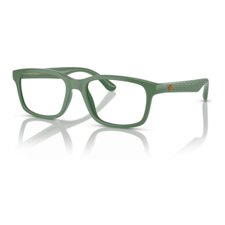 Dolce Gabbana DX5097 3329 Green [1]