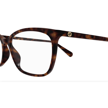 Gucci GG1930O 002 Havana [2]